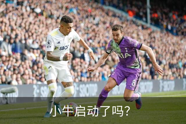 小牛启动了吗？
